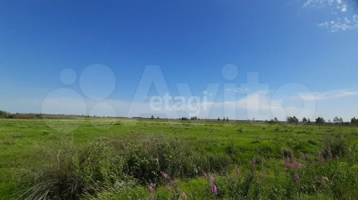 Участок 20,8 сот. (СНТ, ДНП)