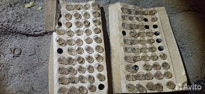 Лампа накаливания 24в. 0.12А