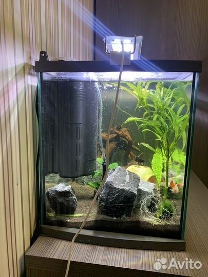 Аквариум с рыбками на 60л