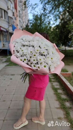 Живые цветы букеты