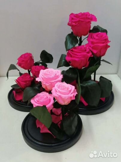 Цветы оптом