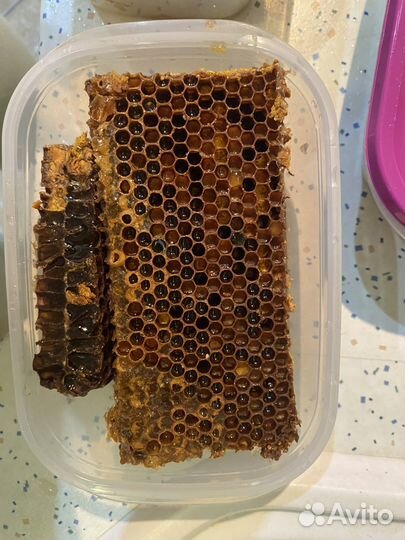 Соты с медом и пергой