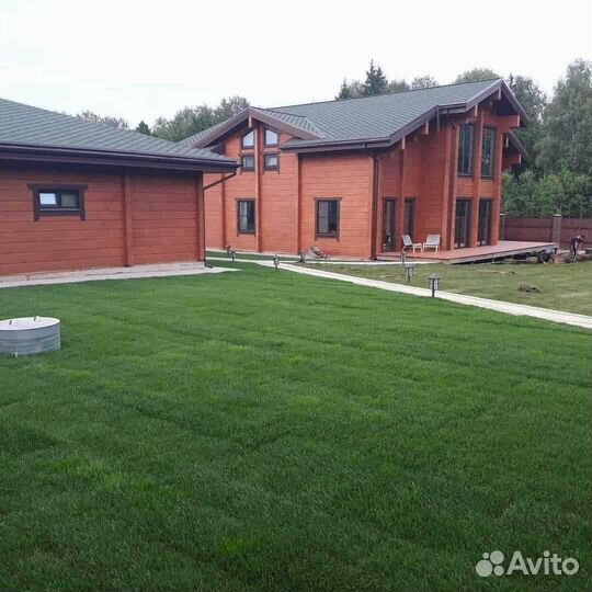 Укладка газона