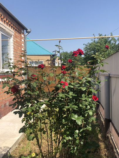 Дом 164 м² на участке 20 сот.