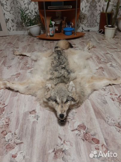 Охота и рыбалка