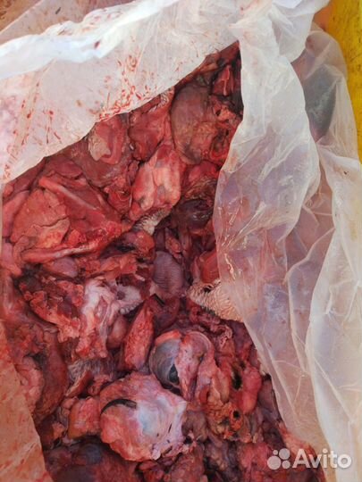 Обрезь для собак и сушеные лакомства