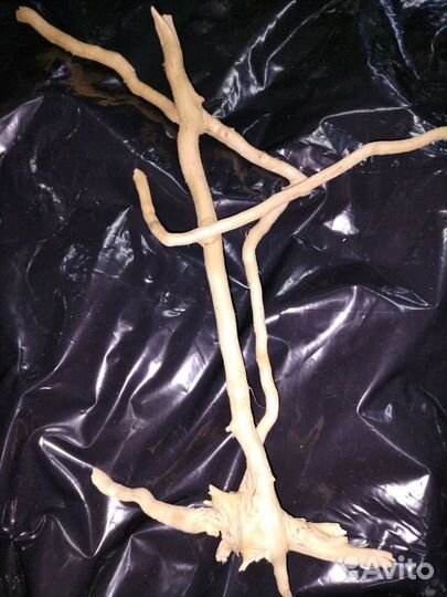 Декор для аквариума