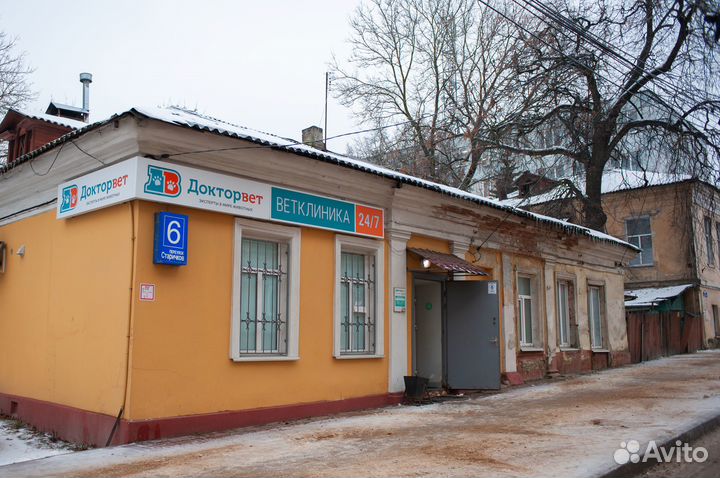 Кастрация котов