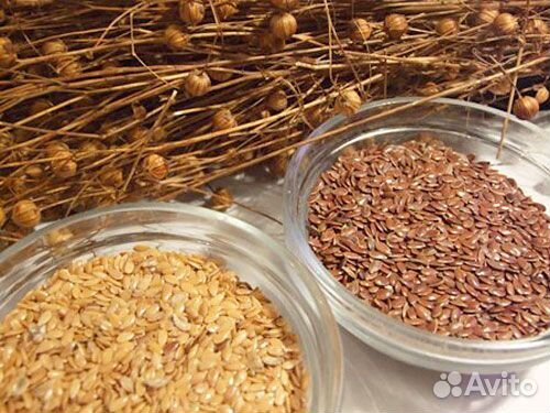 Семена льна