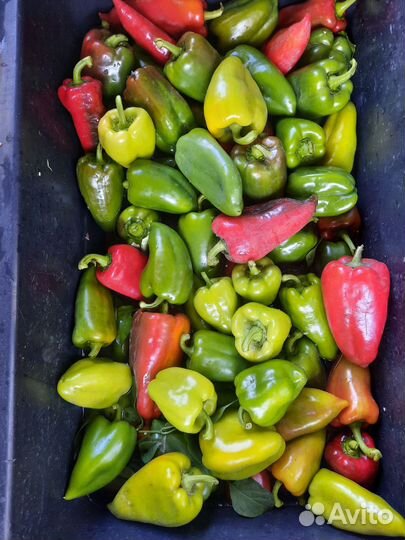 Продукты питания