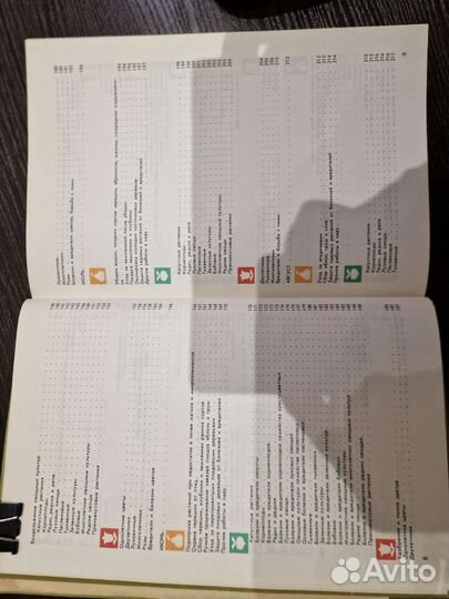 Год на садовом участке