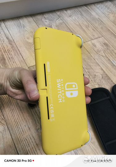 Nintendo switch lite прошитая