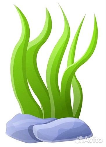 Продавец консультант