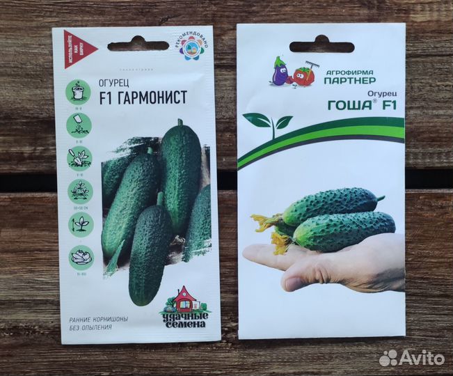 Семена огурцов