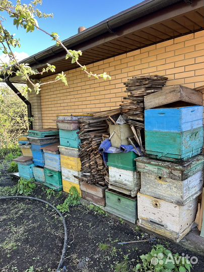 Ульи, рамки для пчел