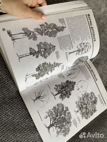 Рисуем карандашом