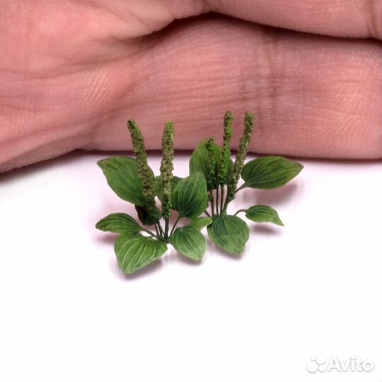 Миниатюра MiniWarPaint S-185