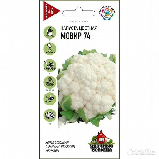 Капуста цветная Мовир 74