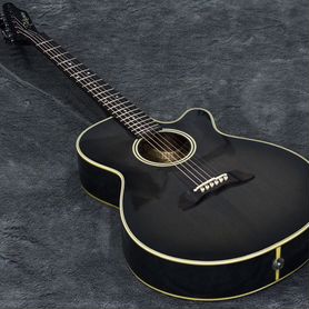 Электроакустика Takamine PT-106-6 Japan