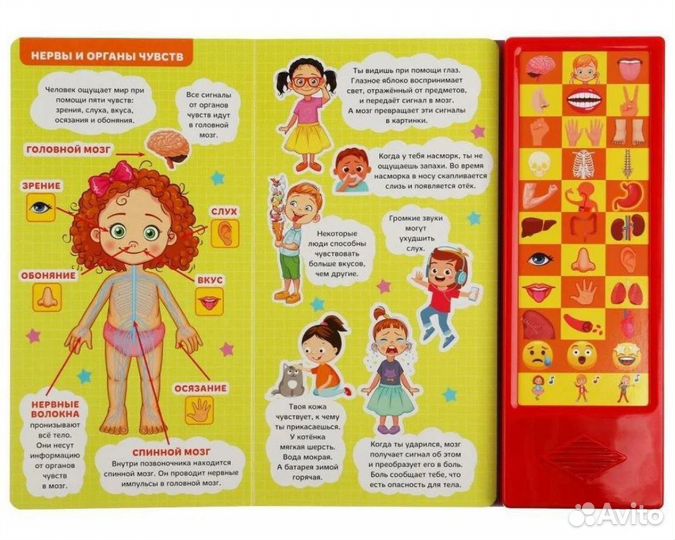 Говорящая энциклопедия. Тело человека