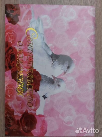 Обложка для свидетельство о рождении