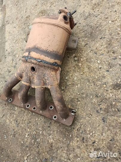 Паук на ваз