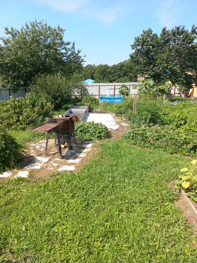 Дача 20 м² на участке 7,7 сот.