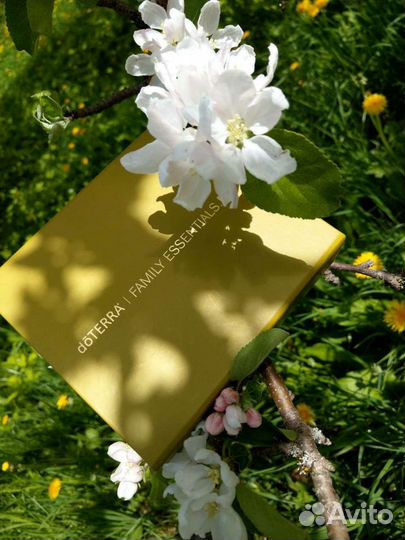 Эфирные масла do terra, пробники