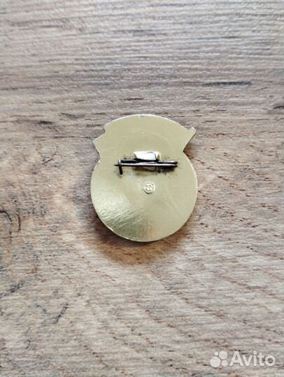 Значок Ударник Коммунистического труда Бур. АССР