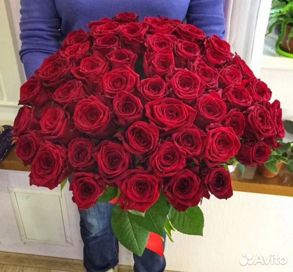 Цветы Розы кpacныe 55 шт крупные Forever Young