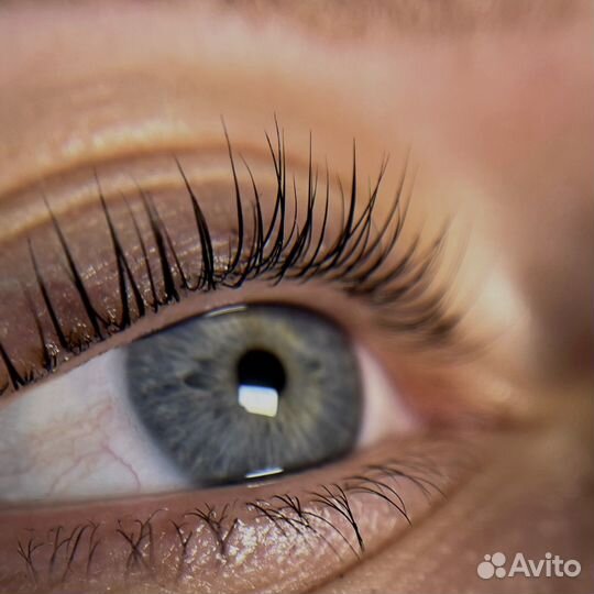 Мастер бровист