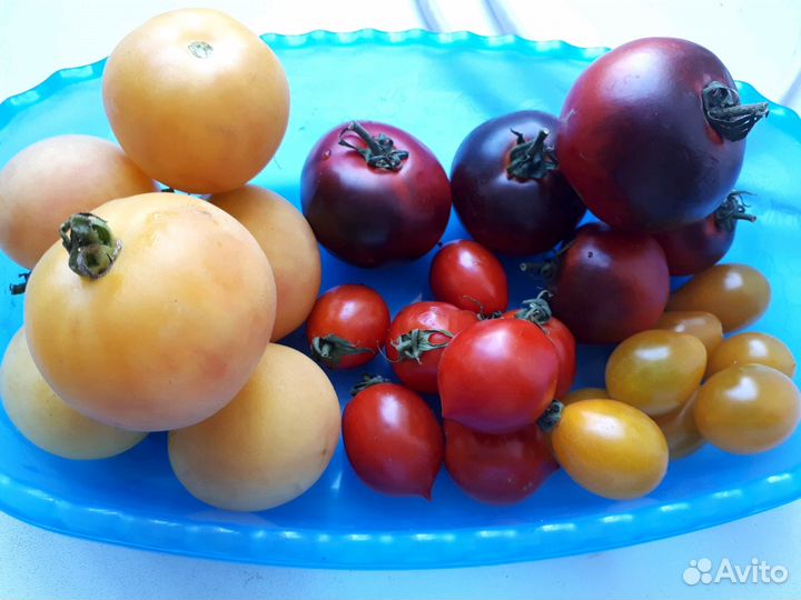 Семена томатов,перца,цветов,арбузы,земляника,фасол