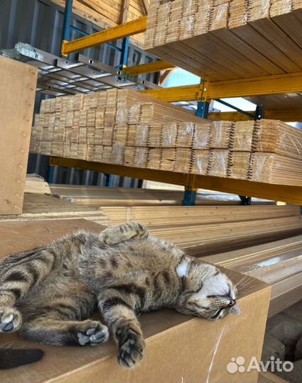 Евровагонка