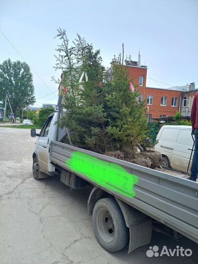 Грузоперевозки газель 6м. Вывоз мусора.Грузчики