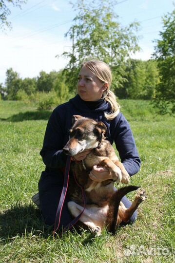 Собака Магда просит помощи