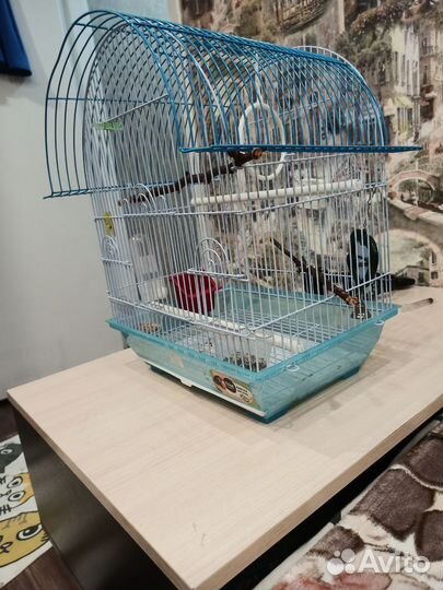 Клетка для волнистого попугая