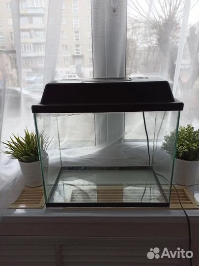 Аквариум с крышкой; грунт; фильтр