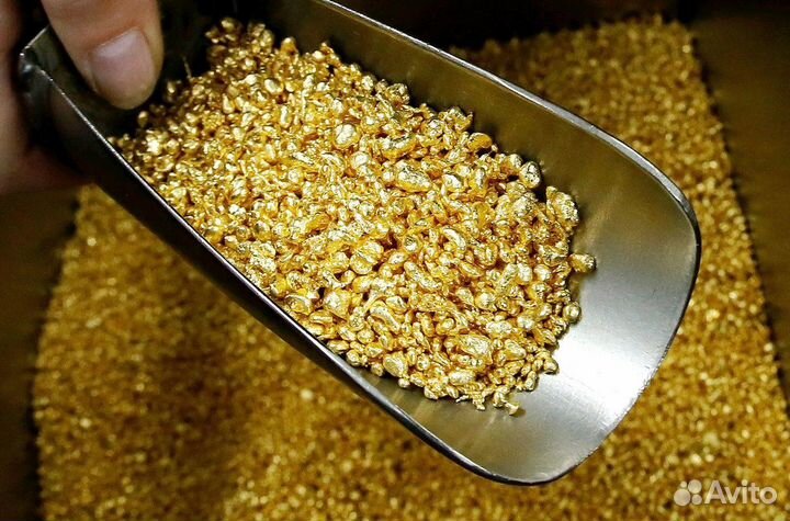 Месторождение золота россыпного