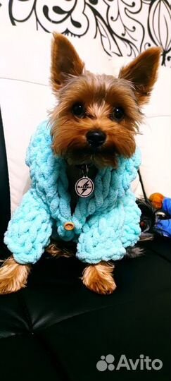 Кофточка для собак