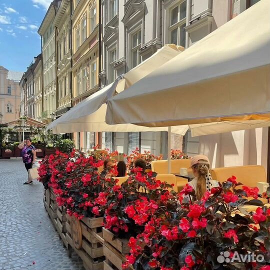 Зонт для уличного кафе