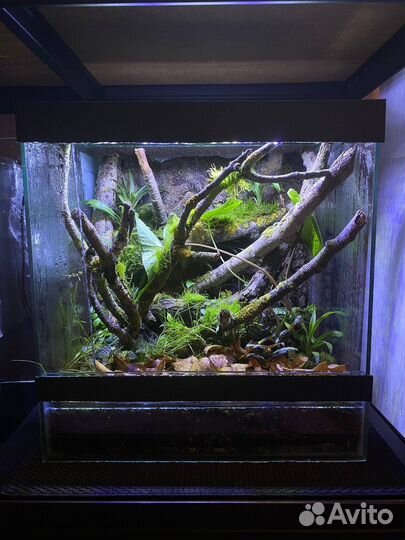 Флорариум террариум палюдариум