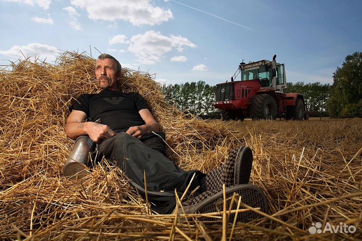 Рабочий на ферму, без опыта вахта