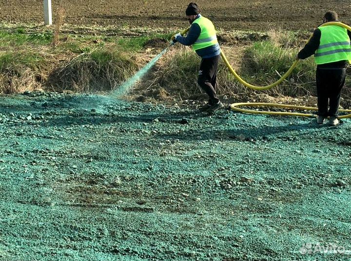 Посевная трава