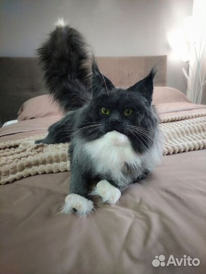 Мягкая игрушка кот мейн-кун , ручная работа