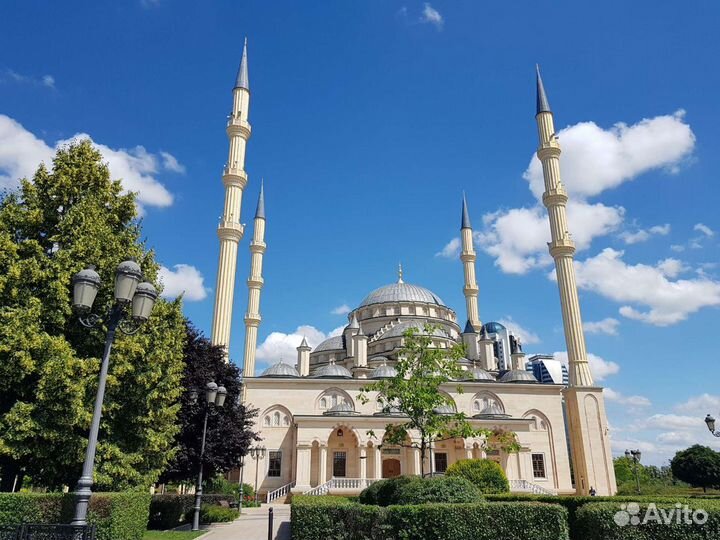 Экскурсии/гид /трансфер guidtochechenland