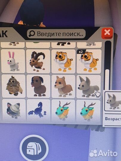 Питомцы в адопт ми