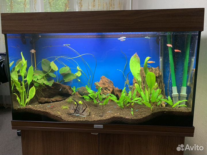 Аквариум