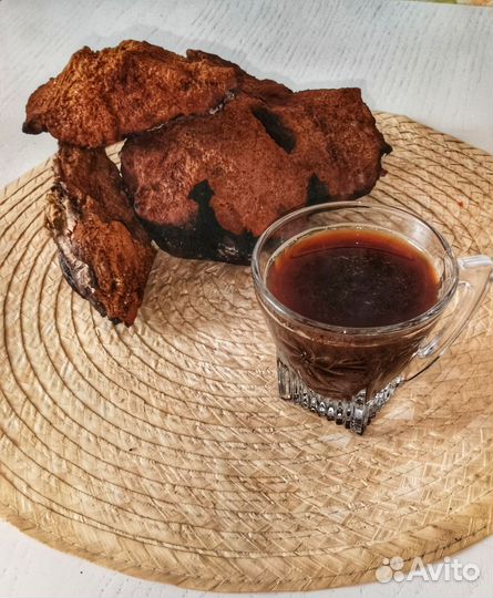 Берёзовая чага