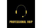 PROFESSIONAL VOIP
