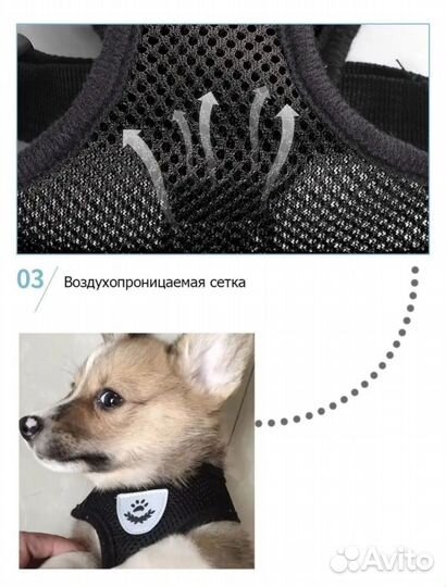 Шлейка с поводком